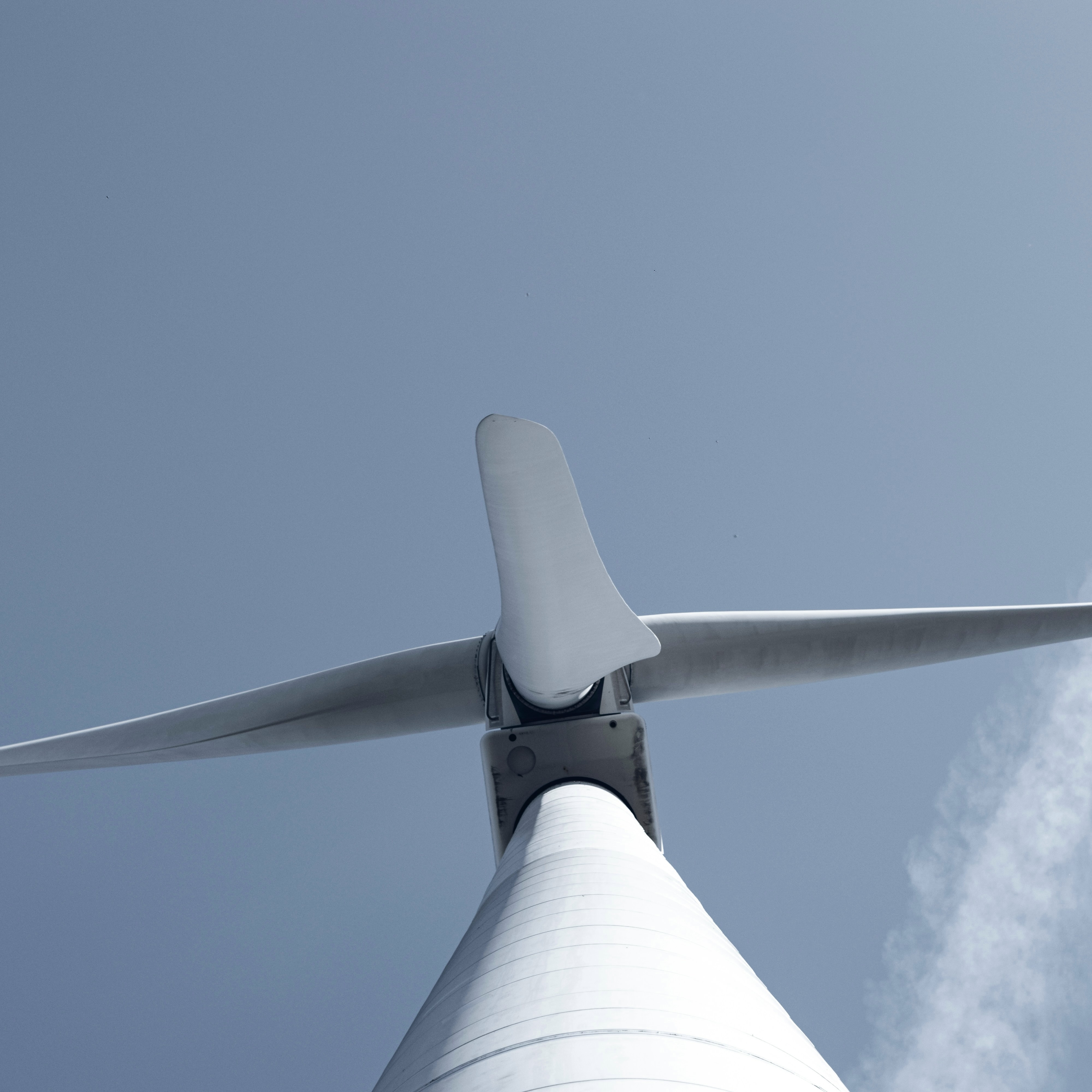 Infrastructure & Assets